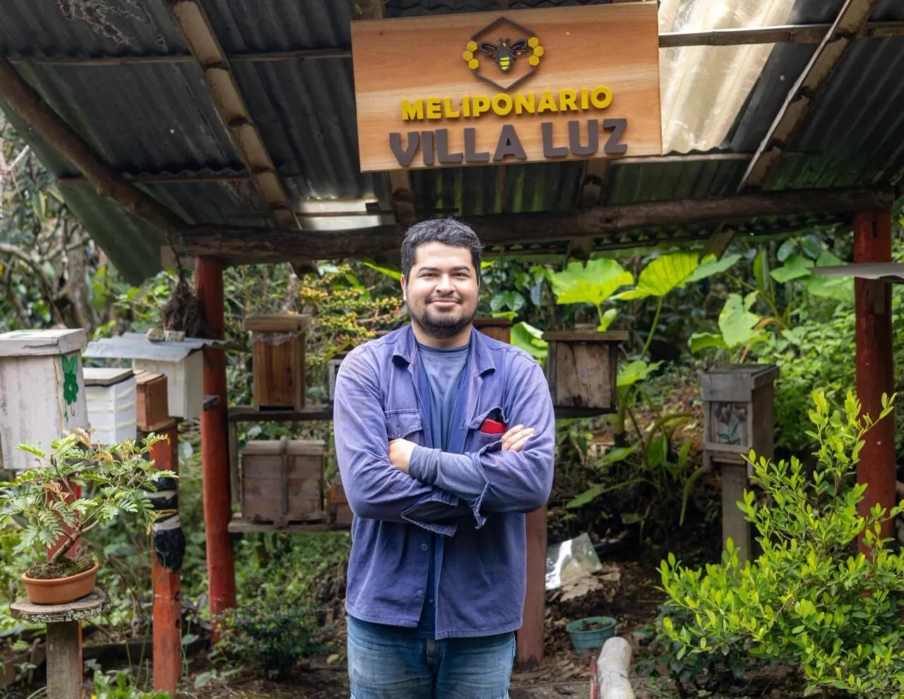 Foto de la nota «Joven campesino de Jericó es un guardián de las abejas meliponas» (archivo 2026).