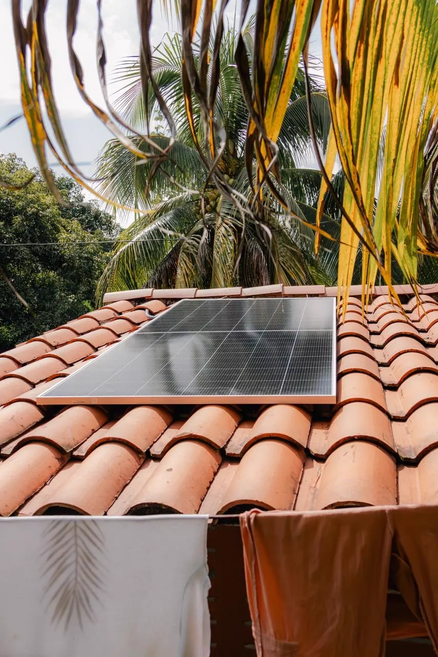 Un panel solar instalado sobre un techo de tejas de barro, rodeado de palmas y árboles.