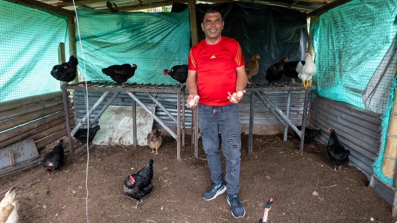 Un productor con camiseta roja sostiene huevos en ambas manos dentro de un galpón con gallinas, malla verde y techo de zinc.