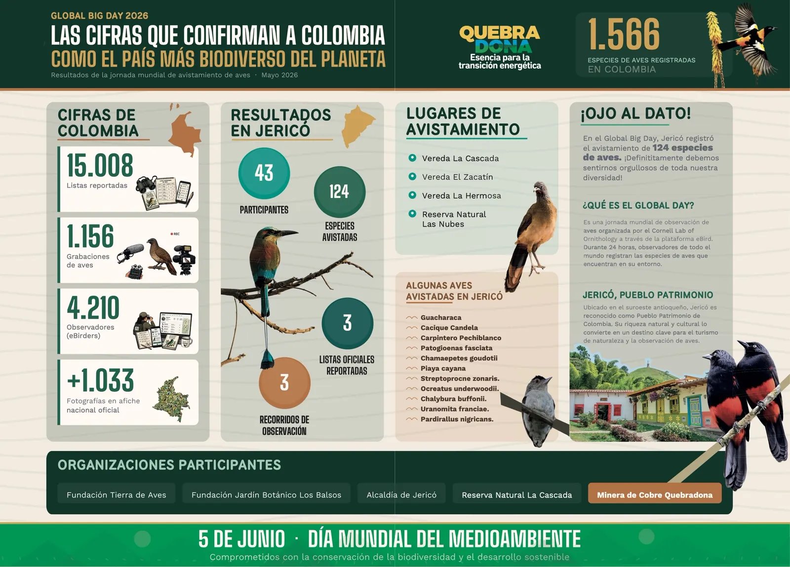 Infografía del Global Big Day 2026. Cifras de Colombia: 1.566 especies de aves registradas, 15.008 listas reportadas, 1.156 grabaciones de aves, 4.210 observadores (eBirders) y más de 1.033 fotografías en el afiche nacional oficial. Resultados en Jericó: 43 participantes, 124 especies avistadas, 3 recorridos de observación y 3 listas oficiales reportadas. Incluye lugares de avistamiento, aves avistadas, organizaciones participantes e ilustraciones de aves.