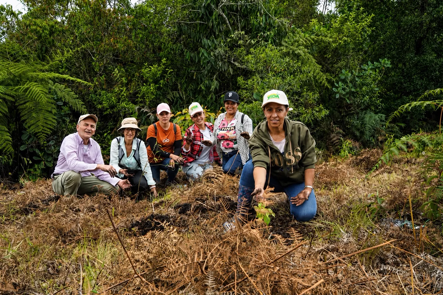 Seis personas en cuclillas entre helechos secos, al borde de un bosque, muestran la tierra en sus manos; una mujer con gorra blanca señala un árbol recién sembrado.