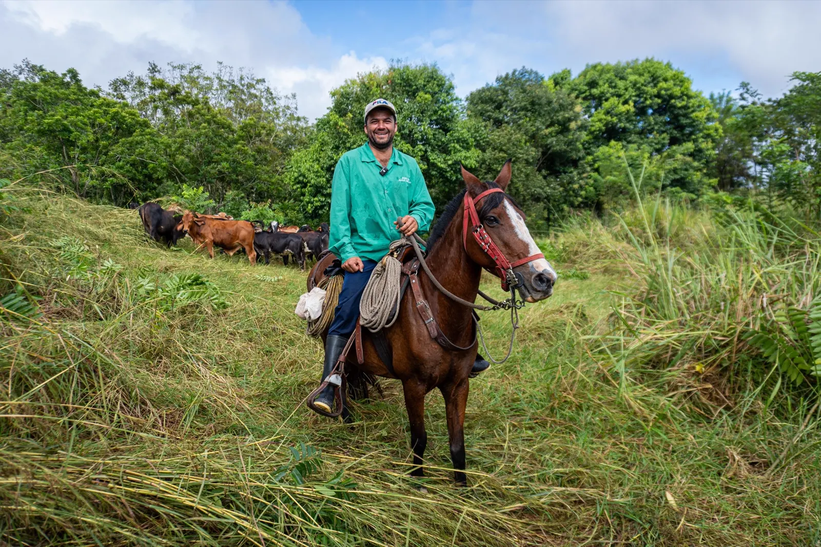 Un hombre de camiseta verde y gorra sonríe montado en un caballo castaño en un potrero de pasto alto, con reses al fondo.