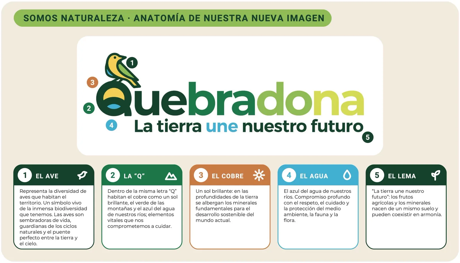 Infografía «Anatomía de nuestra nueva imagen» con el logo de Quebradona y cinco partes numeradas: 1, el ave (la diversidad de aves del territorio); 2, la «Q» (el cobre, el verde de las montañas y el azul del agua); 3, el cobre (un sol brillante, los minerales de las profundidades); 4, el agua (el azul de los ríos y el cuidado del medio ambiente); 5, el lema «La tierra une nuestro futuro».