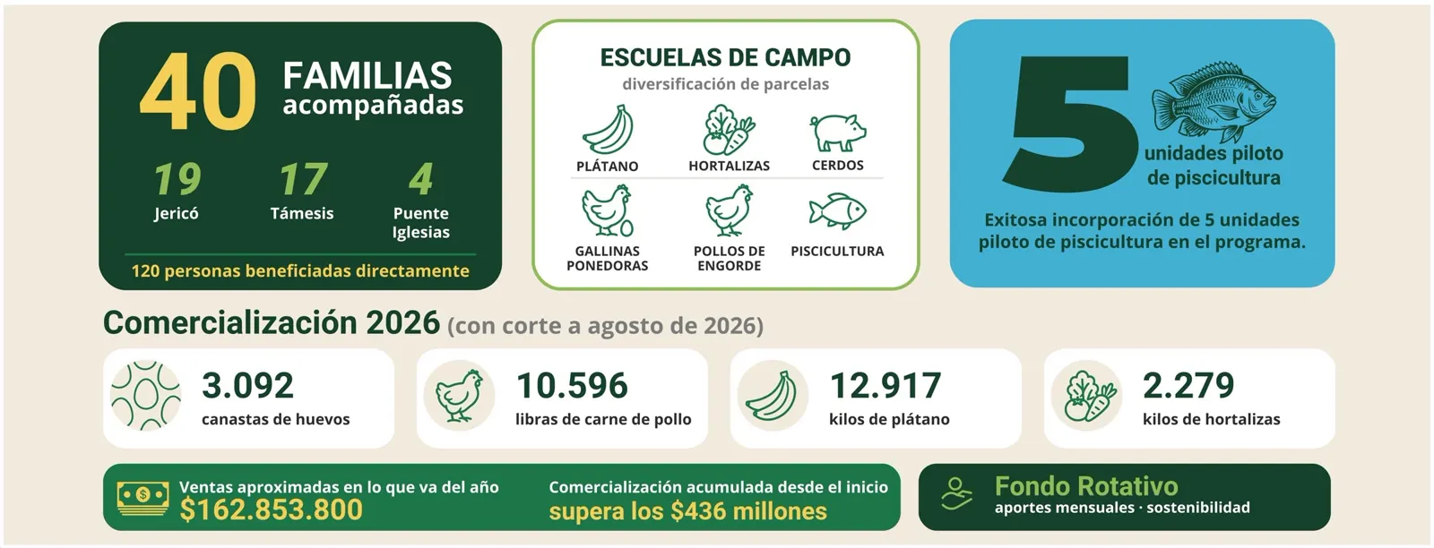 Infografía de Proyectos Productivos: 40 familias acompañadas (19 en Jericó, 17 en Támesis y 4 en Puente Iglesias), 120 personas beneficiadas directamente; Escuelas de Campo con diversificación de parcelas (plátano, hortalizas, cerdos, gallinas ponedoras, pollos de engorde y piscicultura); 5 unidades piloto de piscicultura. Comercialización 2026 con corte a agosto: 3.092 canastas de huevos, 10.596 libras de carne de pollo, 12.917 kilos de plátano y 2.279 kilos de hortalizas. Ventas aproximadas en lo que va del año: $162.853.800; comercialización acumulada desde el inicio: supera los $436 millones. Fondo Rotativo: aportes mensuales y sostenibilidad.